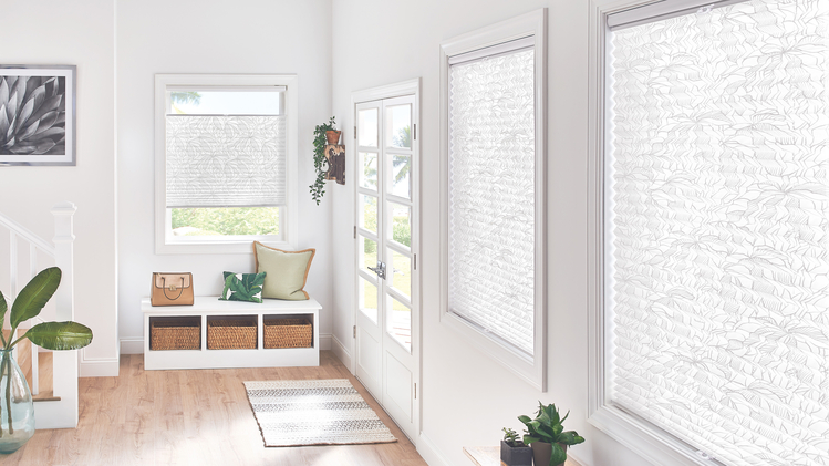 Blinds in white room with plants. 